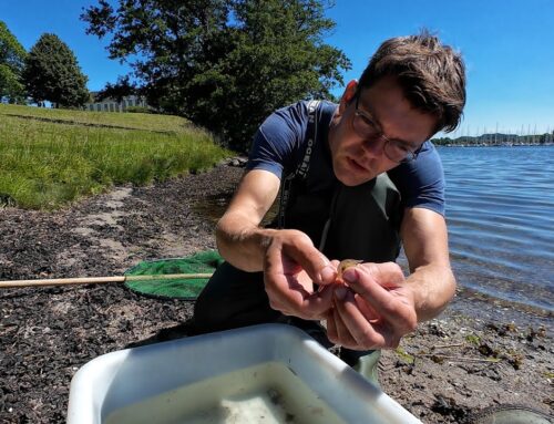 Naturen Kalder – på stranden med Mathias