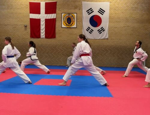 Bag om Sporten – Taekwondo