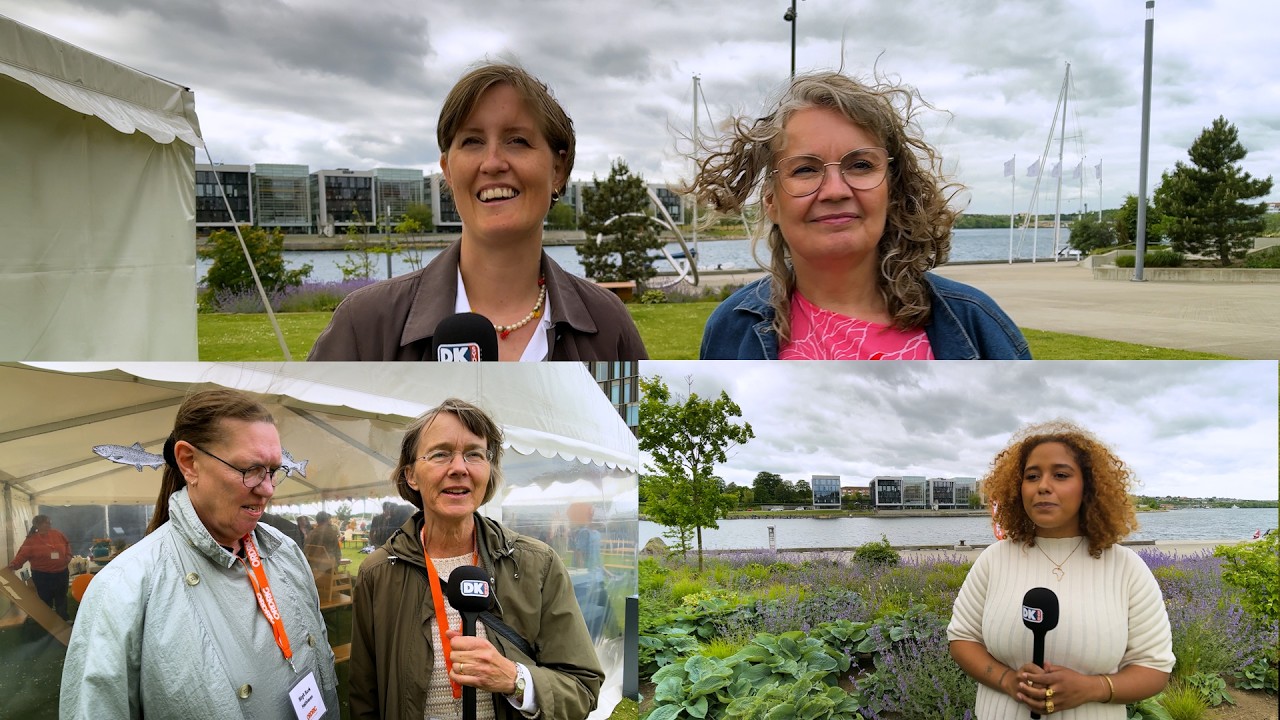 ORDRIG – Sønderjyllands Bogfest