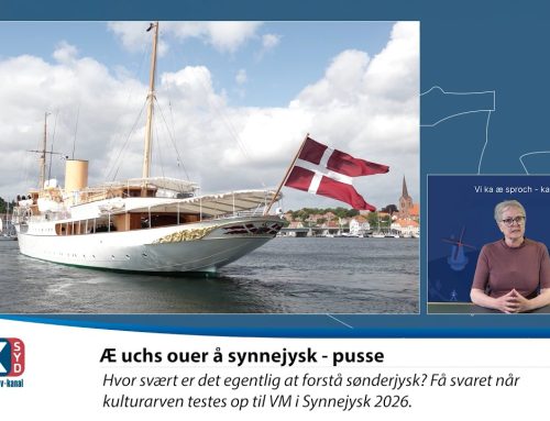 Æ uchs ouer å synnejysk – Pusse 6:16