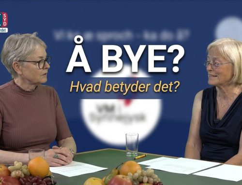 Æ uchs ouer å synnejysk –  å bye, tak for æ bøj 16:16